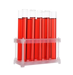Photo of Many test tubes with red liquid in stand isolated on white