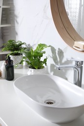 Beautiful green ferns and toiletries on countertop in bathroom