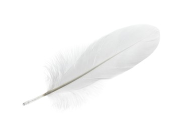 Photo of Beautiful white bird feather isolated on white