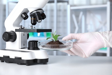 Photo of Scientist holding Petri dish with green plant over table in laboratory, closeup. Biological chemistry