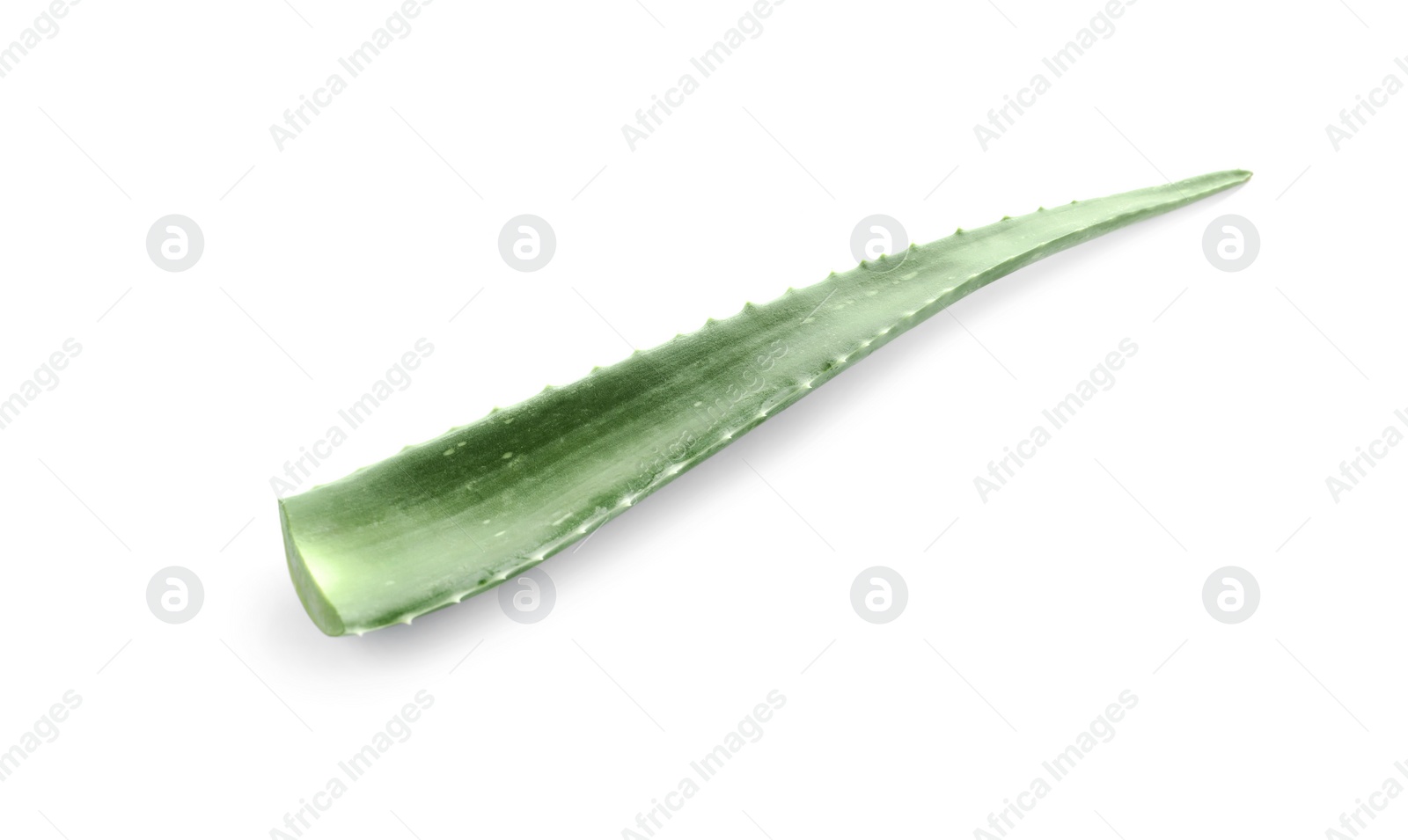 Photo of Green aloe vera leaf isolated on white