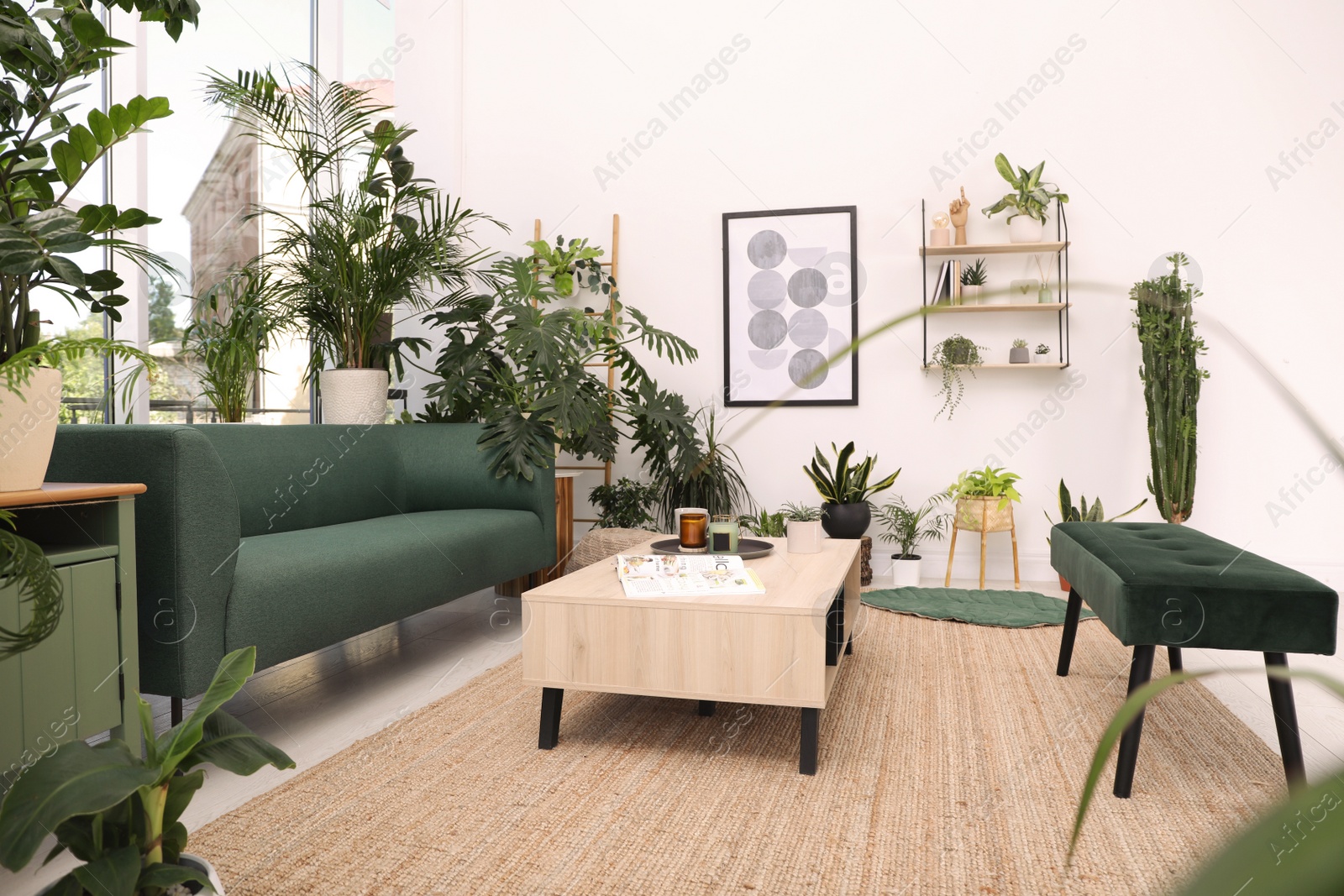 Photo of Living room interior with modern furniture and houseplants