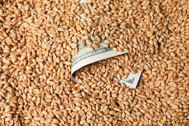 Dollar banknote in wheat grains, top view. Agricultural business