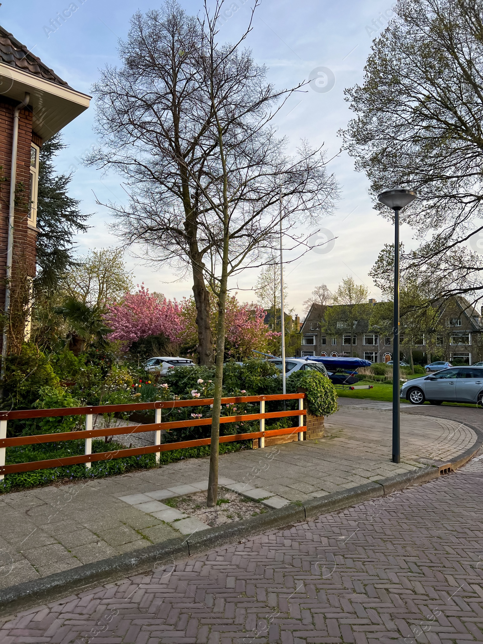 Photo of View on beautiful street with houses and parked cars