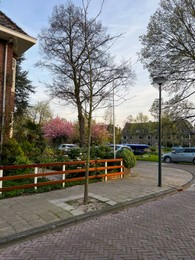 View on beautiful street with houses and parked cars