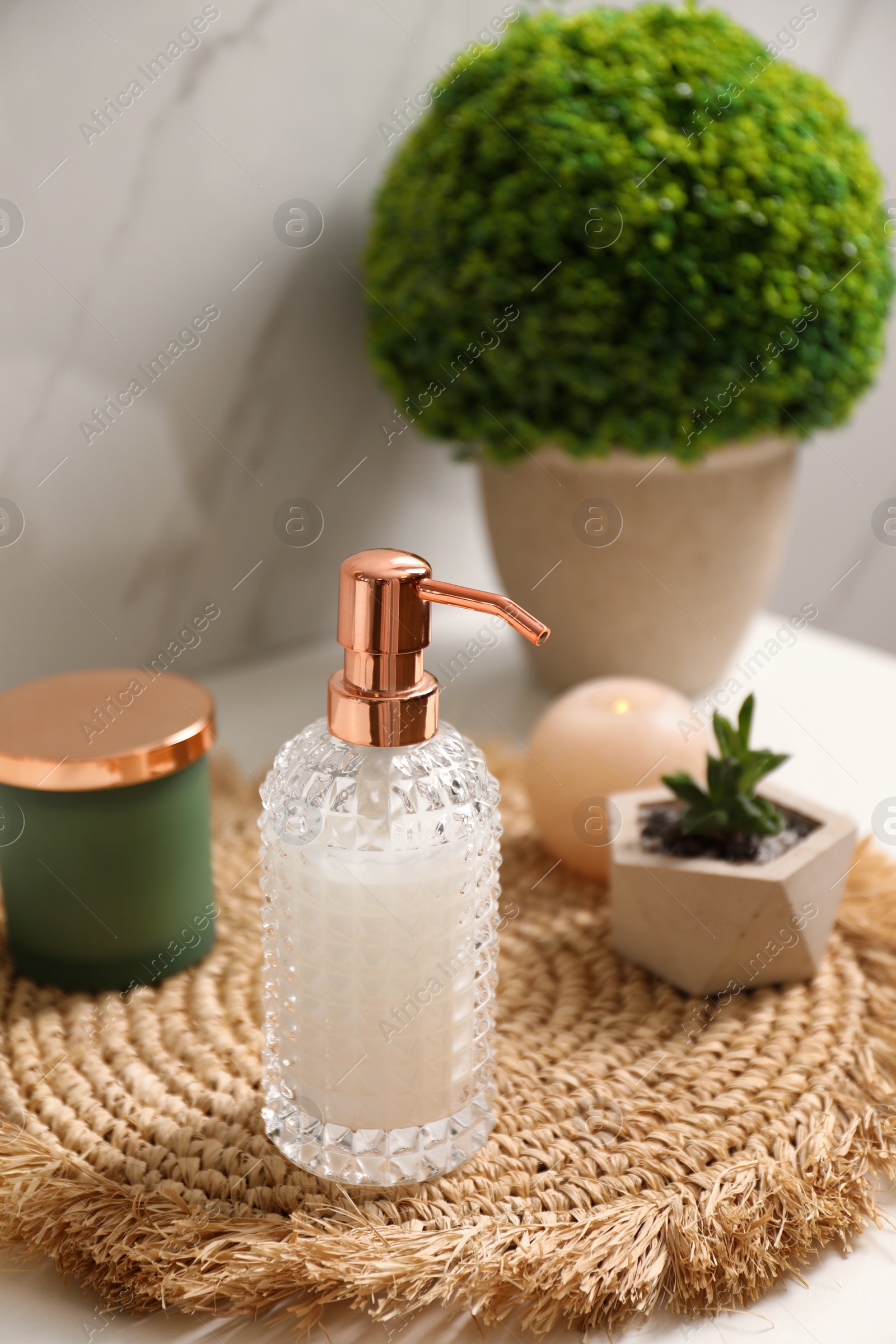 Photo of Soap dispenser and plants on countertop in bathroom