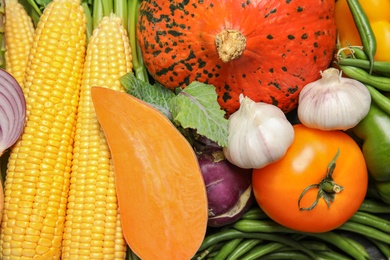 Photo of Different fresh vegetables as background. Organic food