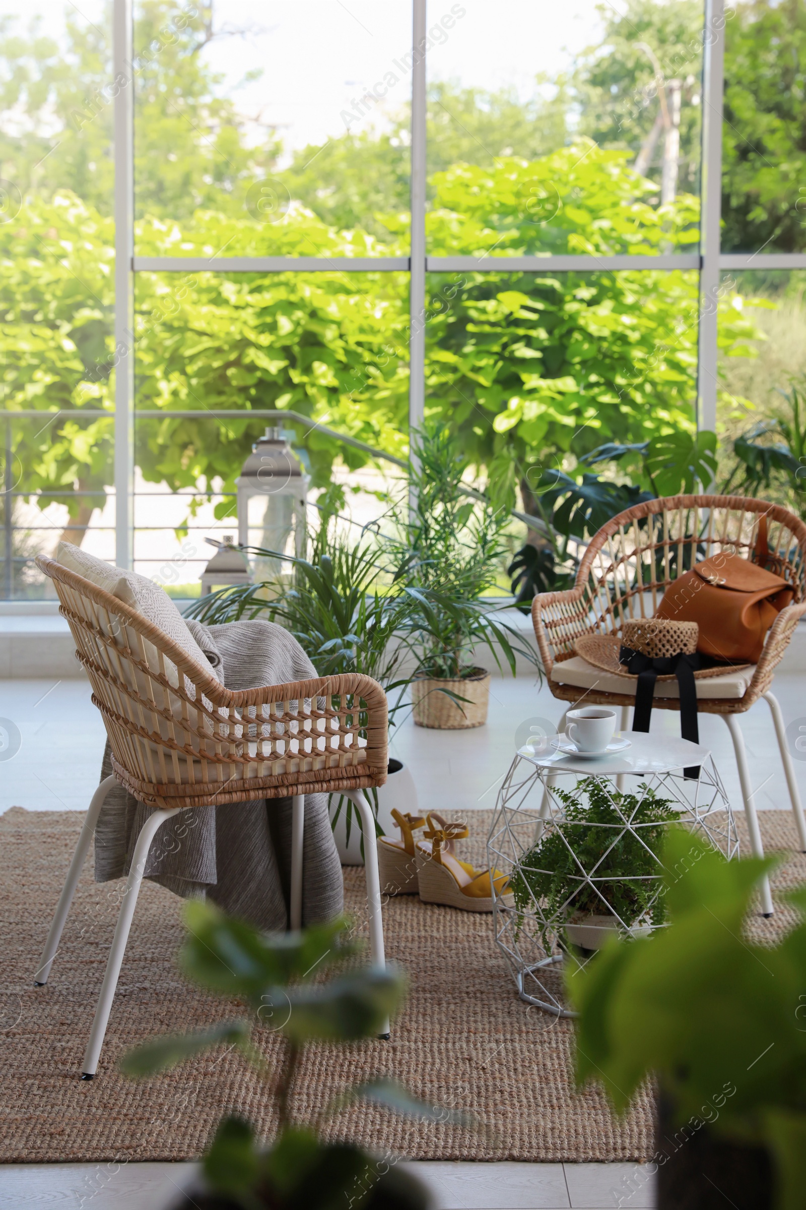 Photo of Indoor terrace interior with elegant furniture and houseplants