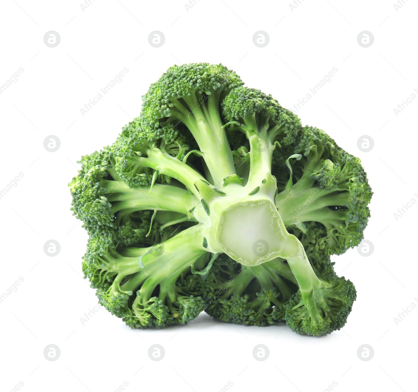 Photo of Fresh broccoli isolated on white. Edible green plant