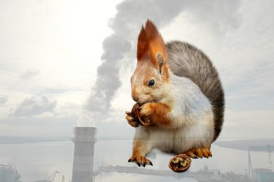 Image of Double exposure of industrial chimney with smoke and squirrel. Environmental pollution