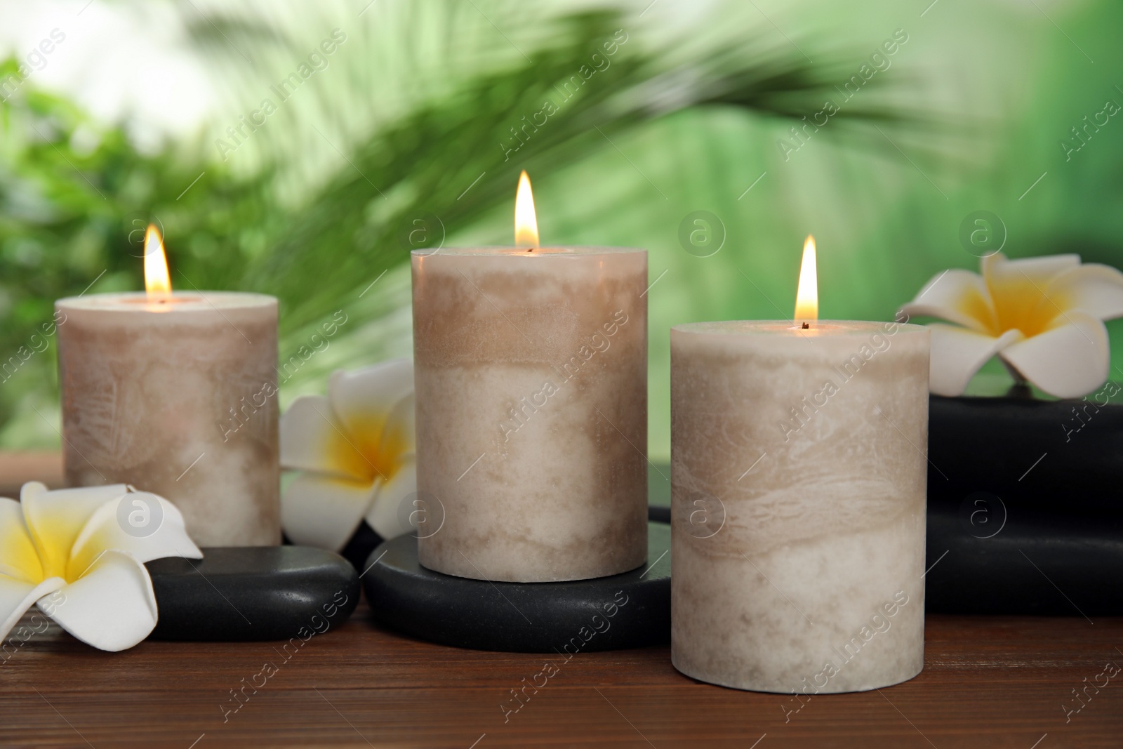 Photo of Burning candles and plumeria flowers on wooden table against blurred green background