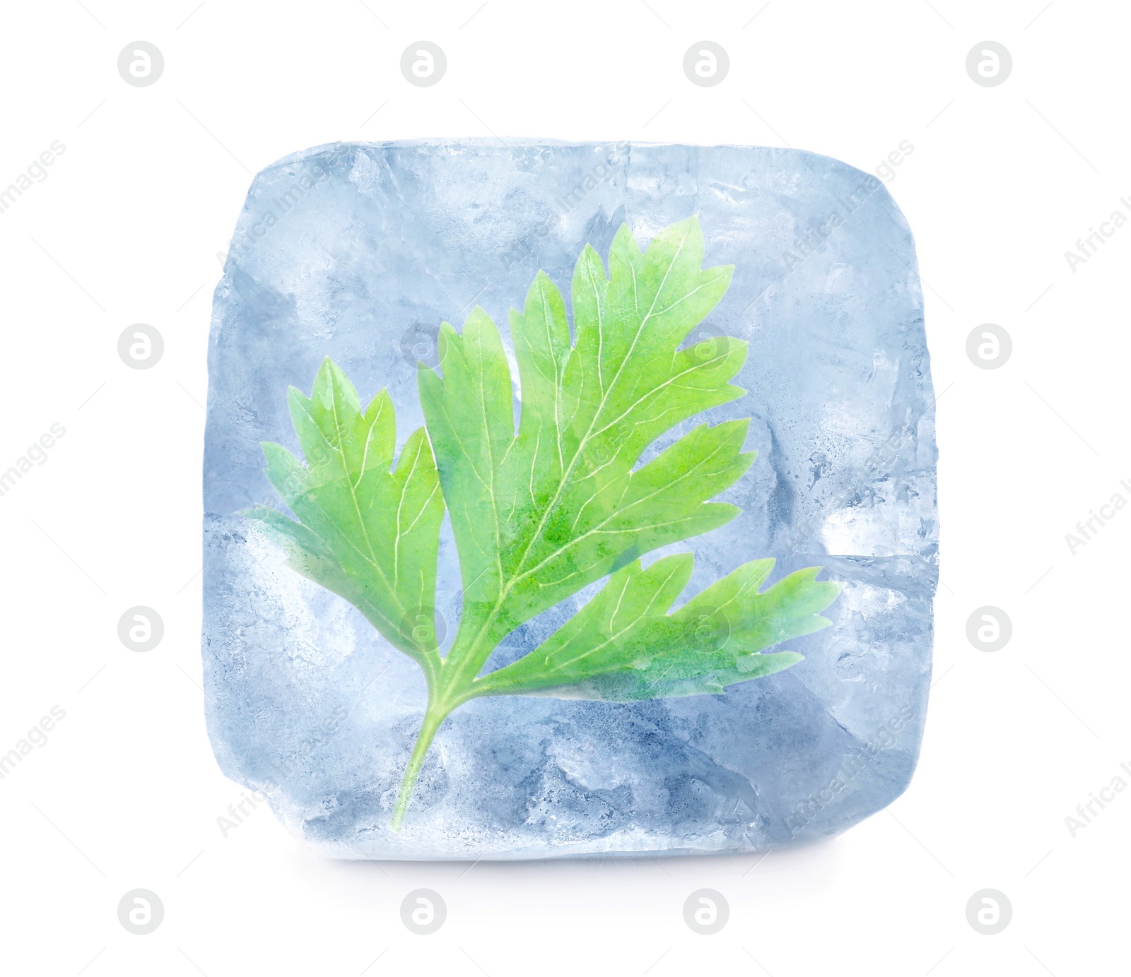 Image of Frozen food. Raw parsley in ice cube isolated on white