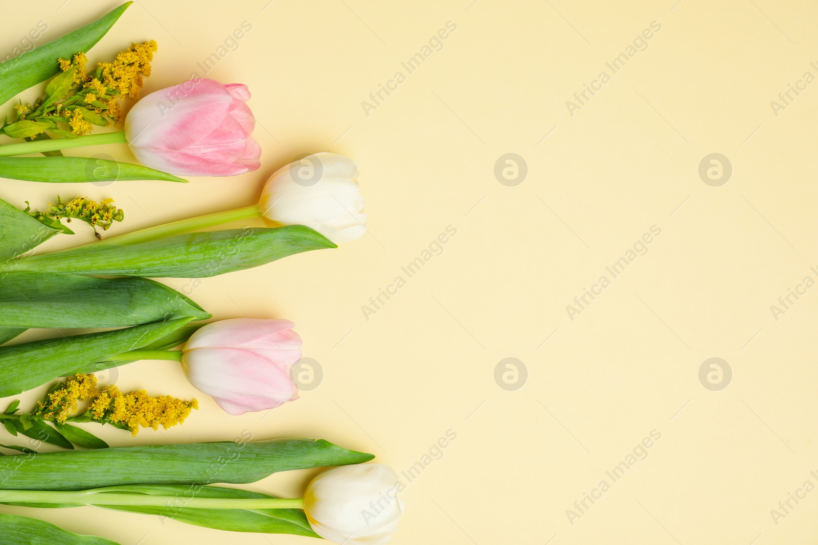 Photo of Flat lay composition with spring flowers on yellow background. Space for text