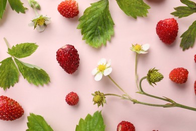 Photo of Many fresh wild strawberries, flowers and leaves on pink background, flat lay