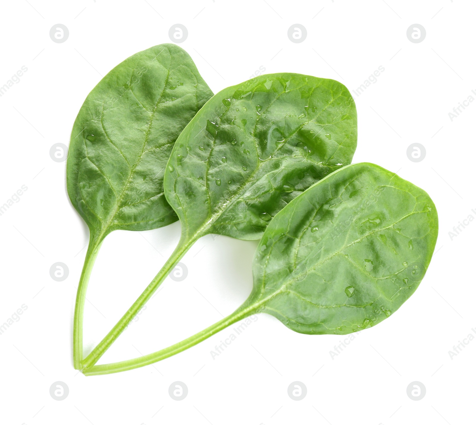 Photo of Fresh green healthy baby spinach leaves isolated on white, top view