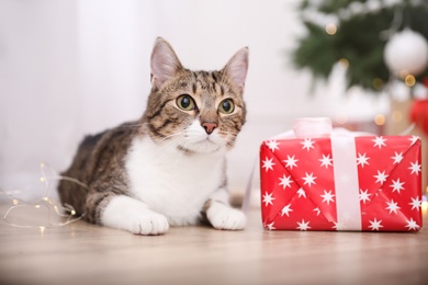 Photo of Cute cat in room decorated for Christmas