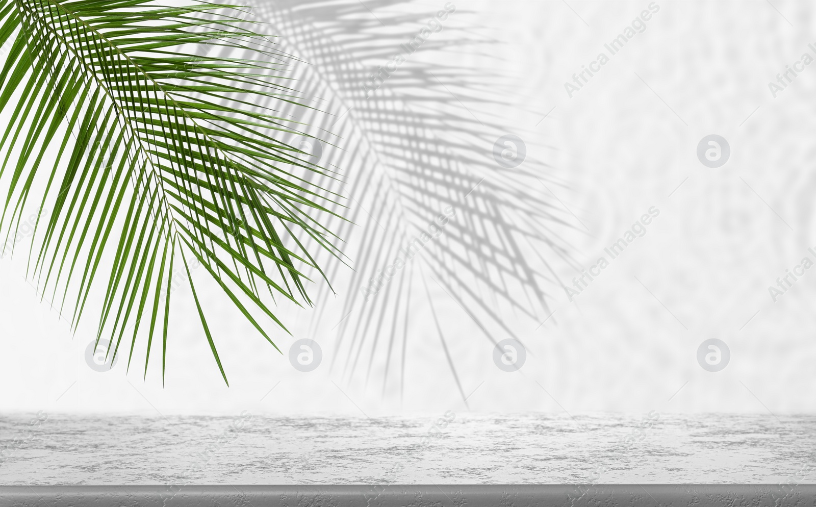 Image of Tropical leaves over grey table casting shadow on white wall, space for text