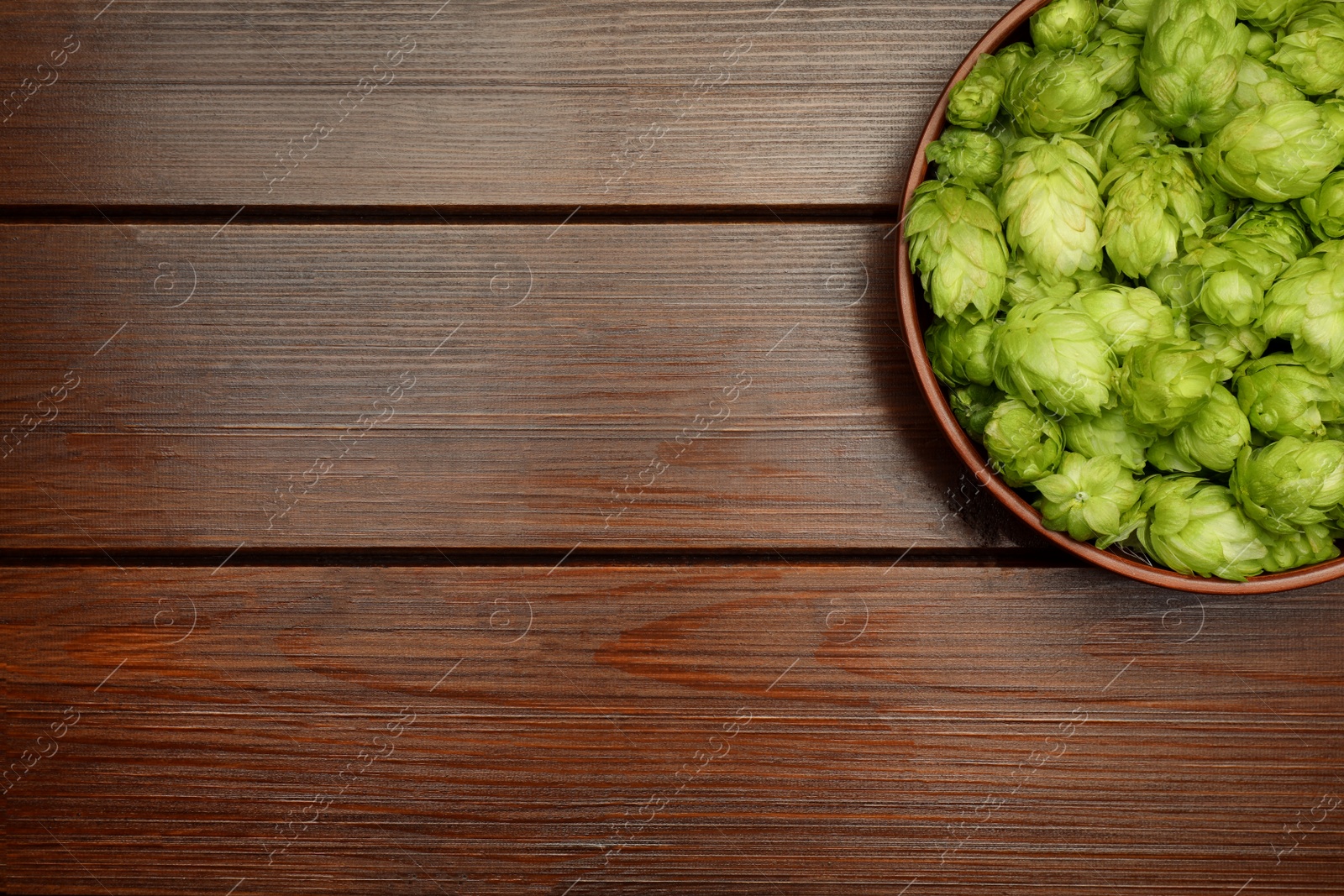 Photo of Bowl with fresh green hops on wooden table, top view. Space for text