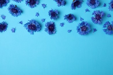 Photo of Beautiful colorful cornflowers on light blue background, flat lay. Space for text
