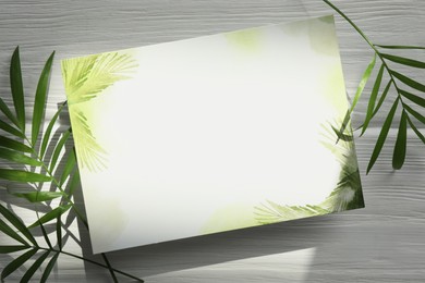 Photo of Blank invitation card and green leaves on white background, top view. Space for text