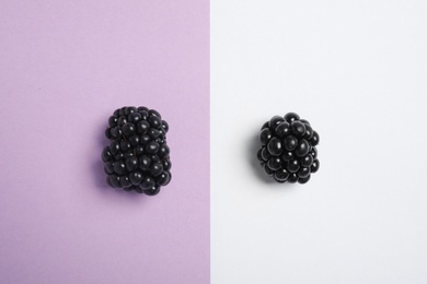 Flat lay composition with ripe blackberries on color background