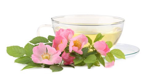 Aromatic herbal tea in glass cup, flowers and green leaves isolated on white