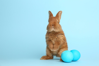 Photo of Adorable fluffy bunny near Easter eggs on light blue background