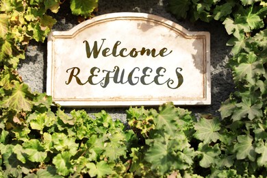 Vintage stone signboard with phrase WELCOME REFUGEES among green vine on wall