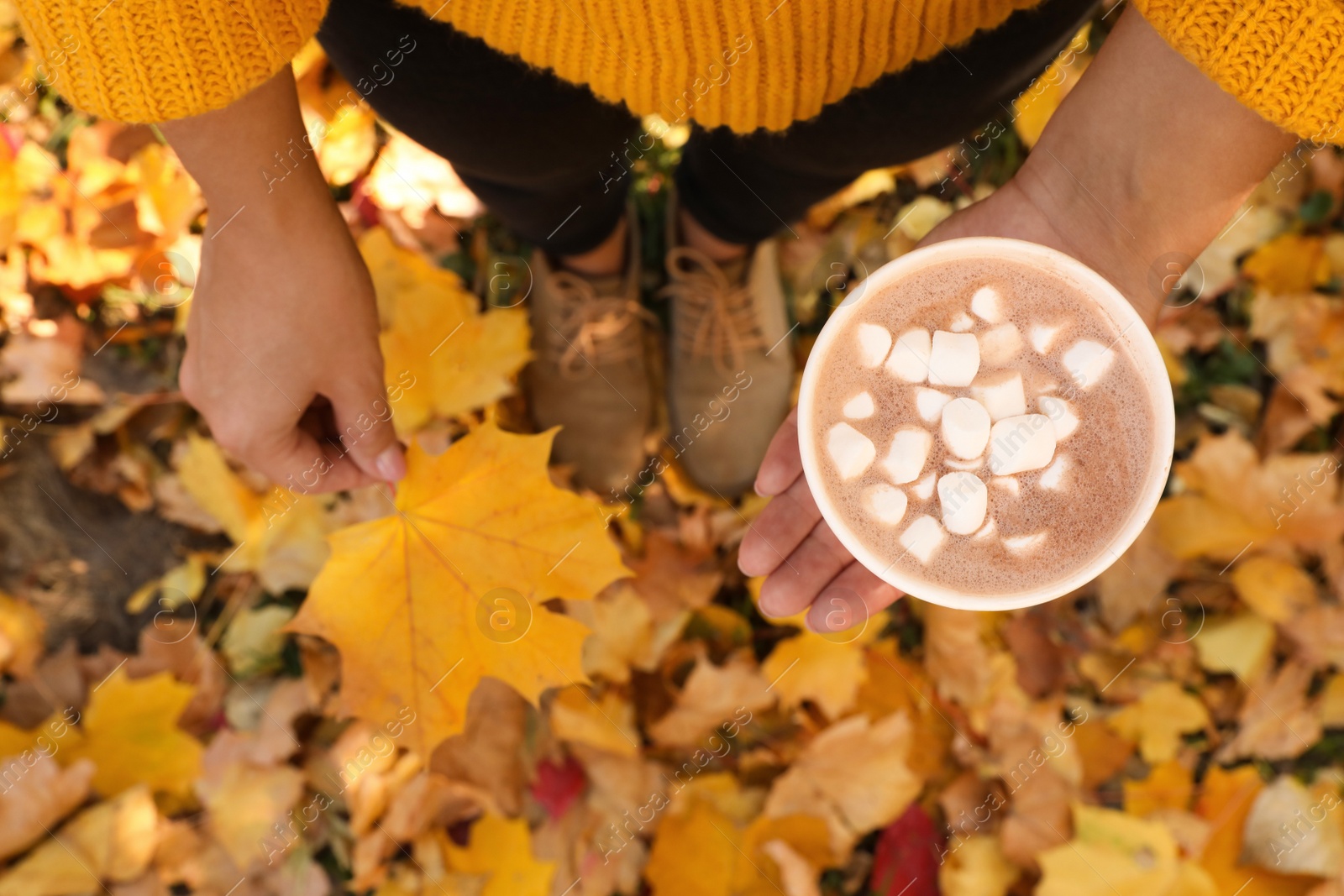 Photo of Woman holding cup of hot drink in park with fallen leaves, above view. Autumn season