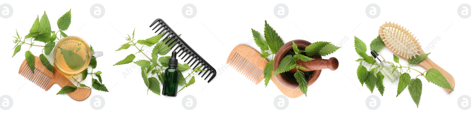 Image of Set with stinging nettle extract, infusion, combs, brush and green leaves on white background, top view. Natural hair care