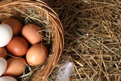Photo of Fresh chicken eggs in wicker basket on dried straw, top view. Space for text