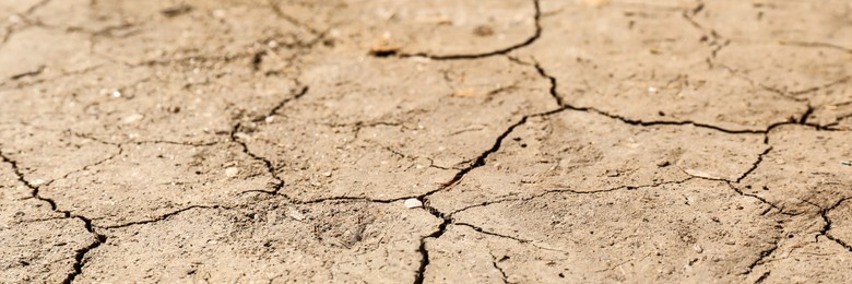 Image of Dry cracked ground as background, closeup. Banner design