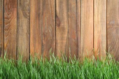 Photo of Fresh green grass near wooden fence. Space for text