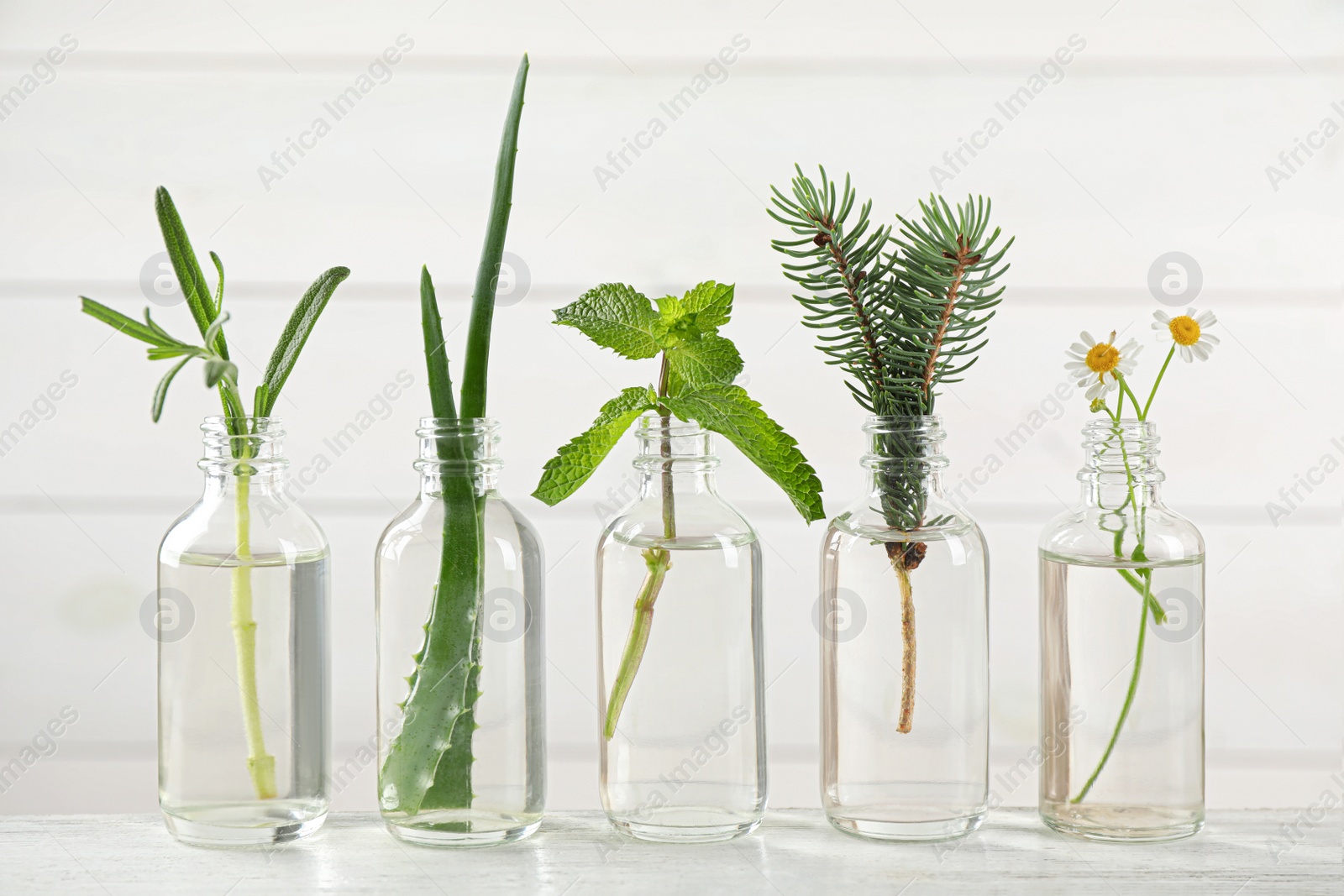 Photo of Glass bottles of different essential oils with plants on table