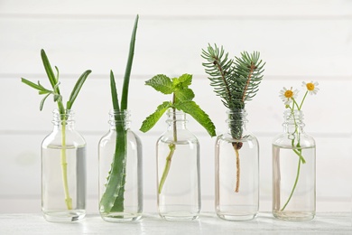 Glass bottles of different essential oils with plants on table