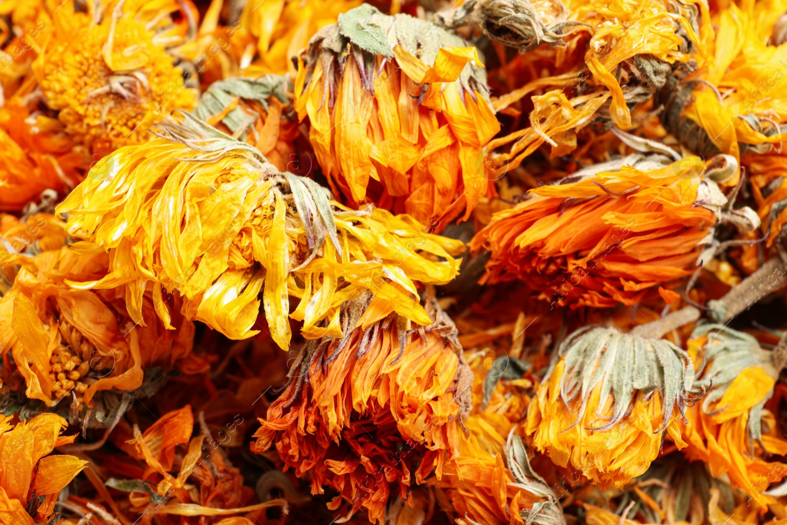 Photo of Pile of dry calendula flowers as background, closeup