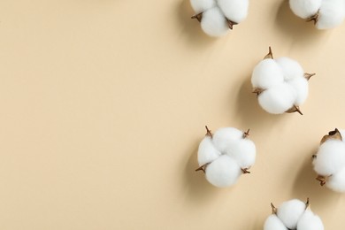 Fluffy cotton flowers on beige background, flat lay. Space for text