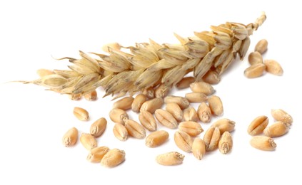 Photo of Pile of wheat grains and spike on white background