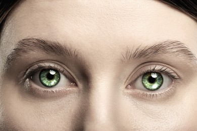 Image of Beautiful woman with captivating green eyes, closeup