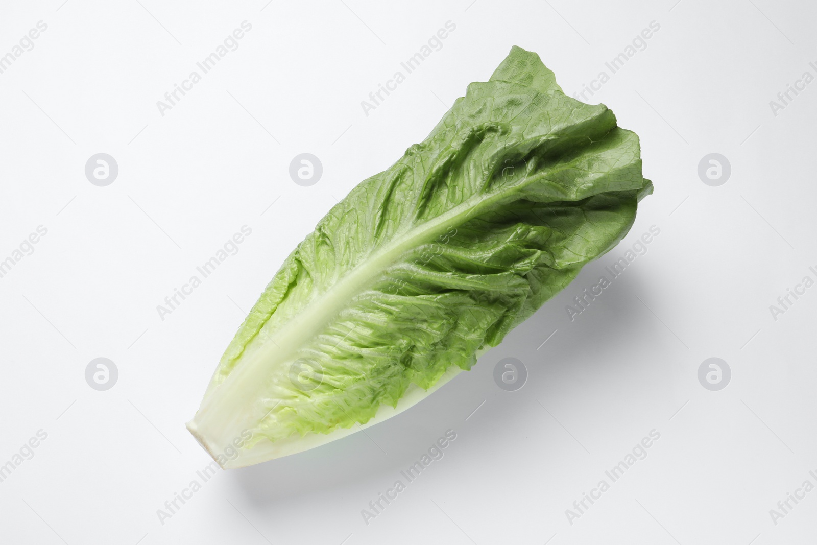 Photo of Fresh green romaine lettuce on white background, top view