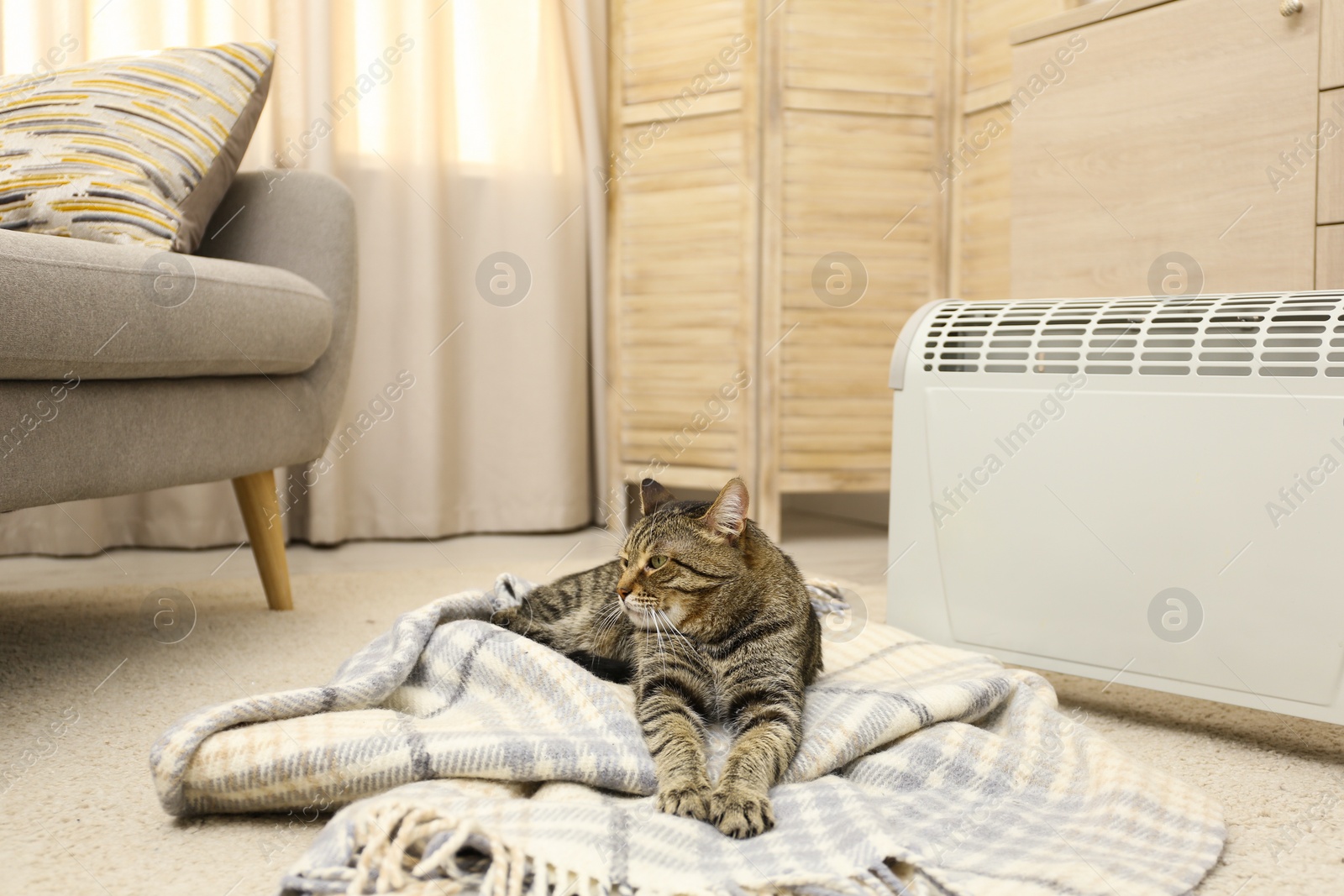 Image of Cute tabby cat near electric heater at home