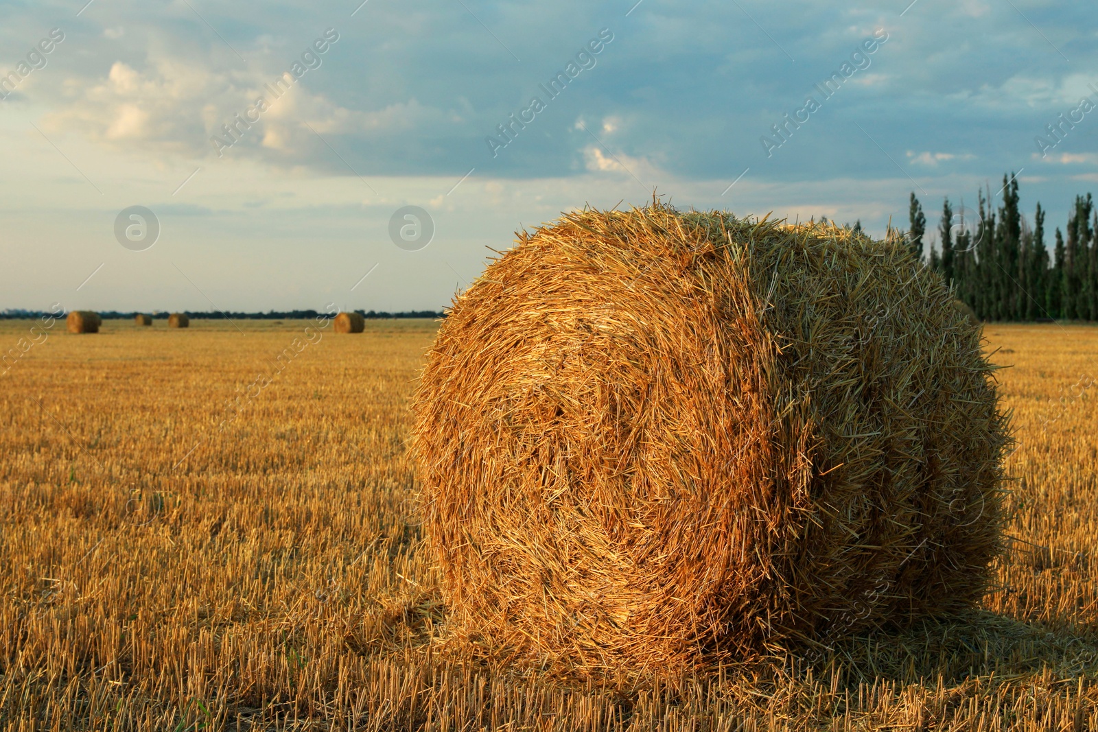 Photo of Beautiful view of agricultural field with hay bale