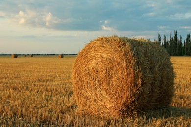 Photo of Beautiful view of agricultural field with hay bale