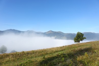 Picturesque view of mountains covered with fog