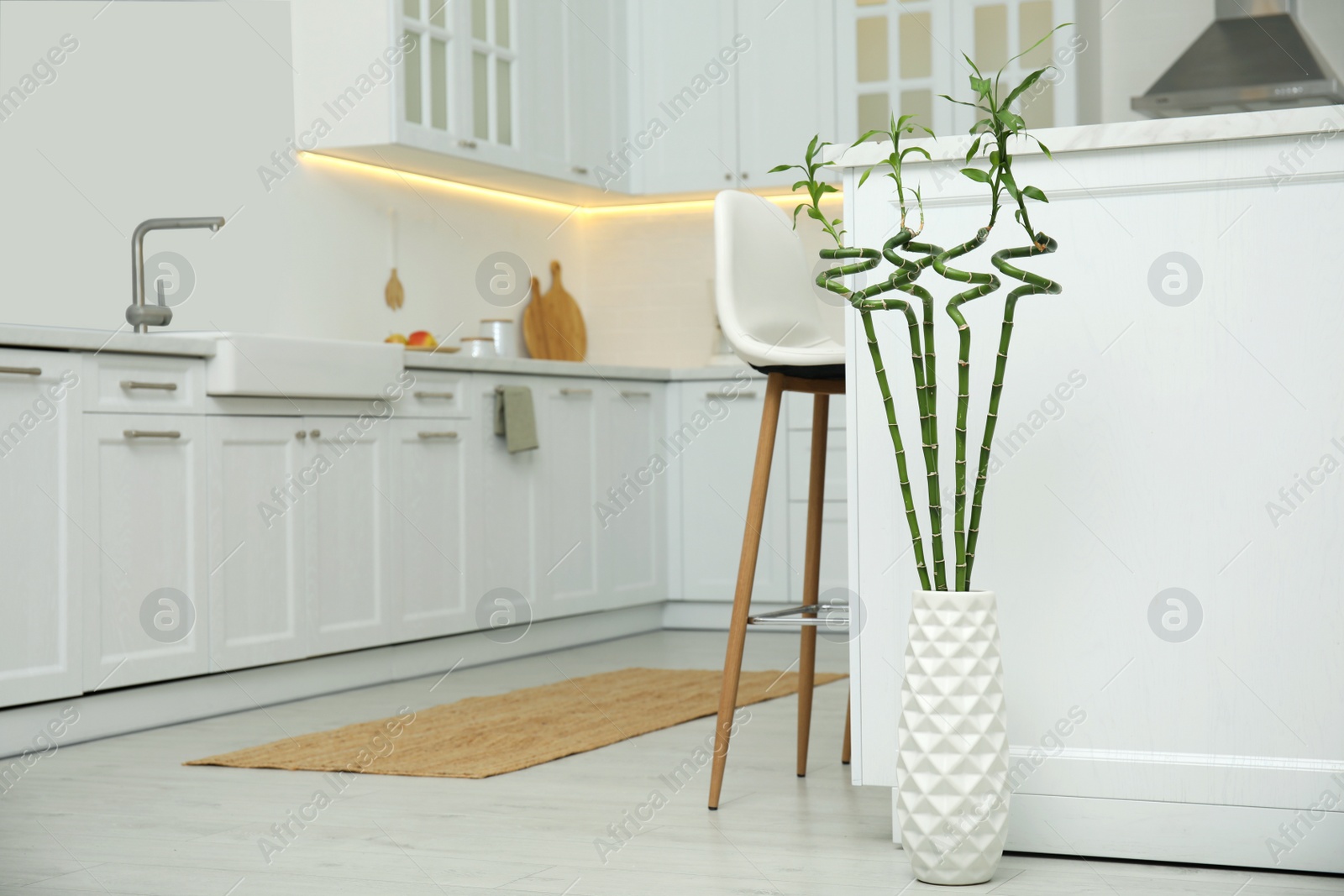 Photo of Vase with green bamboo stems on floor in kitchen, space for text. Interior design