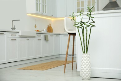 Vase with green bamboo stems on floor in kitchen, space for text. Interior design