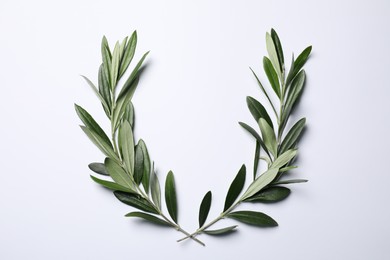 Photo of Olive twigs with fresh green leaves on white background, flat lay. Space for text