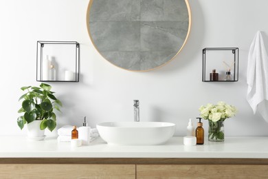 Photo of Beautiful roses, houseplant and bath accessories near sink in bathroom
