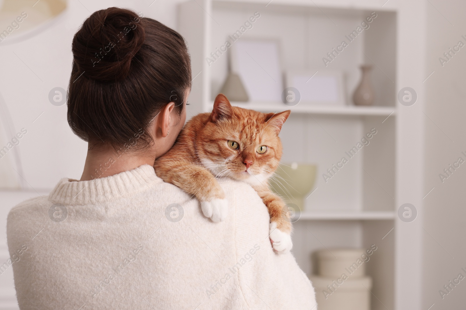 Photo of Woman with cute cat at home, back view. Space for text