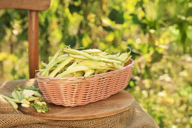 Photo of Wicker basket with fresh green beans on wooden chair in garden